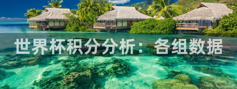 2026世界杯足球赛程时间表:世界杯积分分析:各组数据