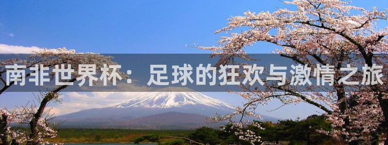 2026年世界杯赛程:南非世界杯:足球的狂欢与激情之旅