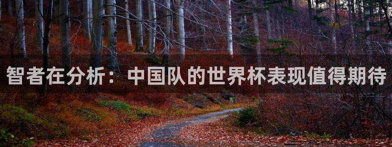 世界杯欧洲区世预赛赛程:智者在分析:中国队的世界杯表现值得期待