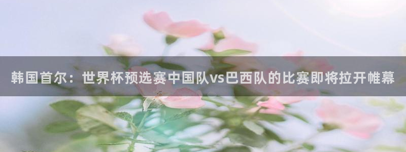 世界杯直播在线观看入口:韩国首尔:世界杯预选赛中国队vs巴西队的比赛即将拉开帷幕