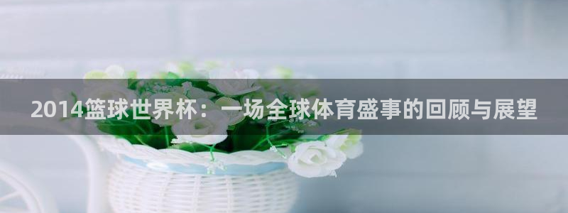 世界杯对阵表:2014篮球世界杯:一场全球体育盛事的回顾与展望