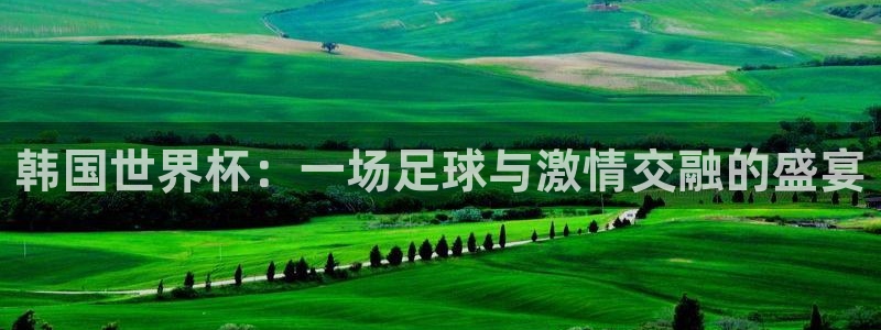 2026世预赛赛程:韩国世界杯:一场足球与激情交融的盛宴