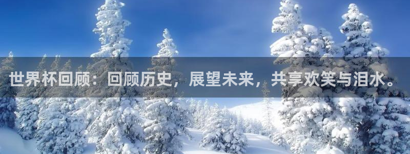法国杯2026赛程表:世界杯回顾:回顾历史,展望未来,共享欢笑与泪水。
