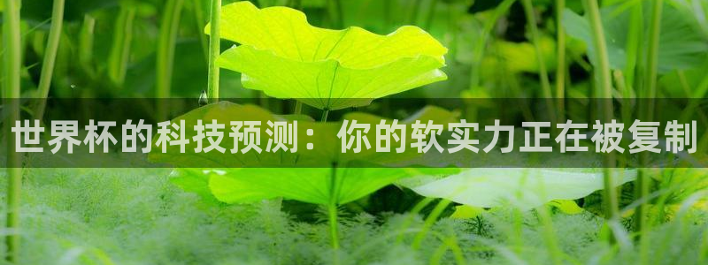 世界杯预选赛赛程时间表:世界杯的科技预测:你的软实力正在被复制